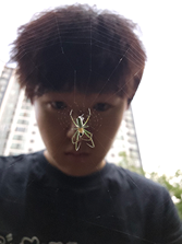 한승완 사진